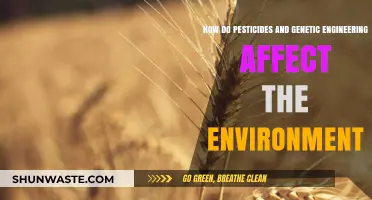 Pesticides, Genetic Engineering, and Their Environmental Impact: A Deep Dive