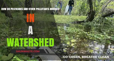 Pesticides and Pollutants: Migration in Watersheds