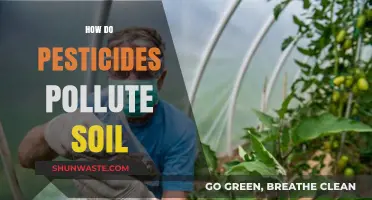 Pesticides: Soil Pollution and Its Impact
