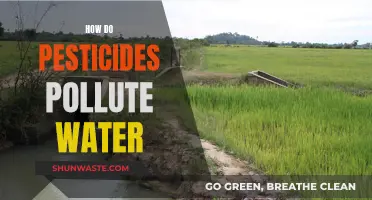 Pesticide Pollution: A Threat to Our Waterways