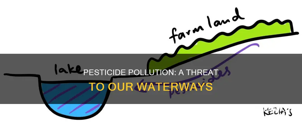 how do pesticides pollute water