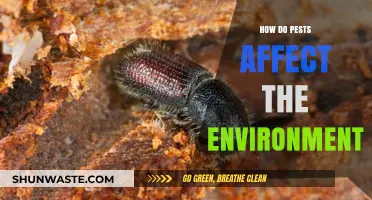 Pests' Environmental Impact: Unseen Threats to Ecosystems and Biodiversity
