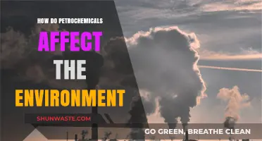 Petrochemicals' Environmental Impact: Pollution, Climate Change, and Ecosystem Threats