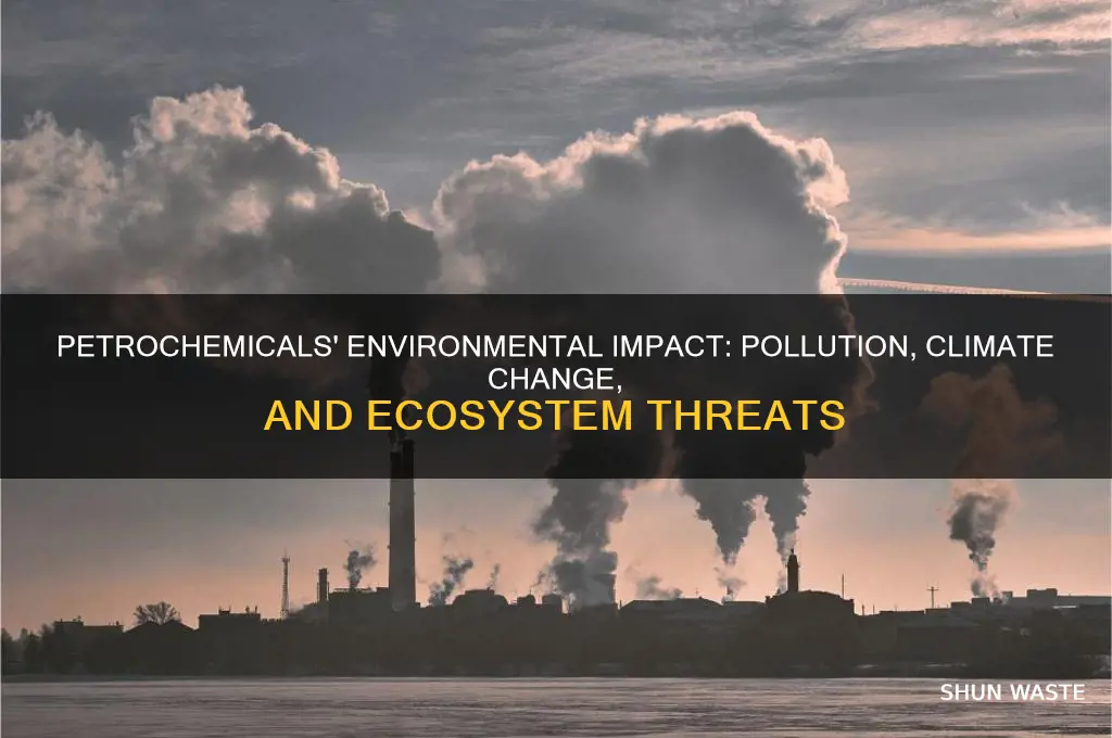 how do petrochemicals affect the environment