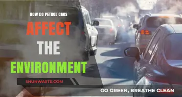 Petrol Cars' Environmental Impact: Pollution, Climate Change, and Sustainability Challenges