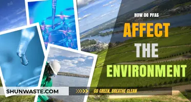 PFAS Environmental Impact: Understanding the Persistent Threat to Ecosystems