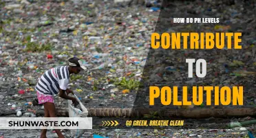 Understanding pH Levels: The Pollution Connection