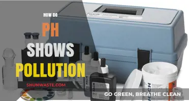 pH Levels: Pollution's Canary in the Coal Mine