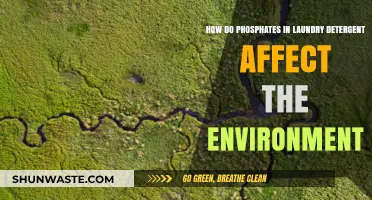 Phosphates in Laundry Detergents: Environmental Impact and Sustainable Alternatives