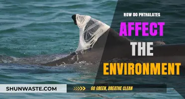 Phthalates' Environmental Impact: Pollution, Wildlife Disruption, and Ecosystem Threats