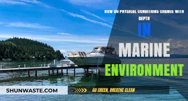 Exploring Depth-Driven Shifts in Marine Physical Conditions and Ecosystems