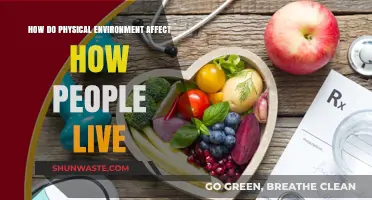 How Physical Environments Shape Lifestyles and Daily Living Habits
