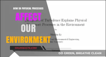 Physical Processes: Shaping Our Environment and Impacting Ecosystems Daily