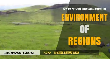 Physical Processes: Shaping Regional Environments and Ecosystems Over Time