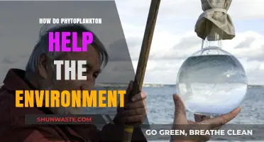 Phytoplankton's Vital Role in Sustaining Our Planet's Health and Balance