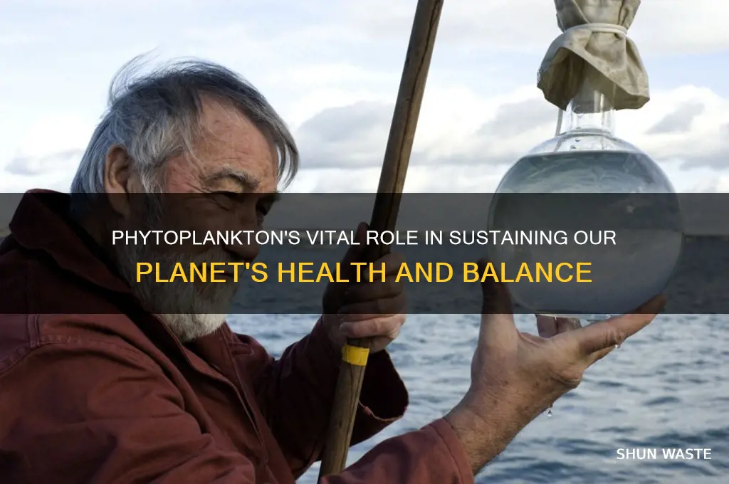 how do phytoplankton help the environment