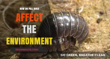 Pill Bugs' Ecological Impact: Uncovering Their Role in Ecosystems