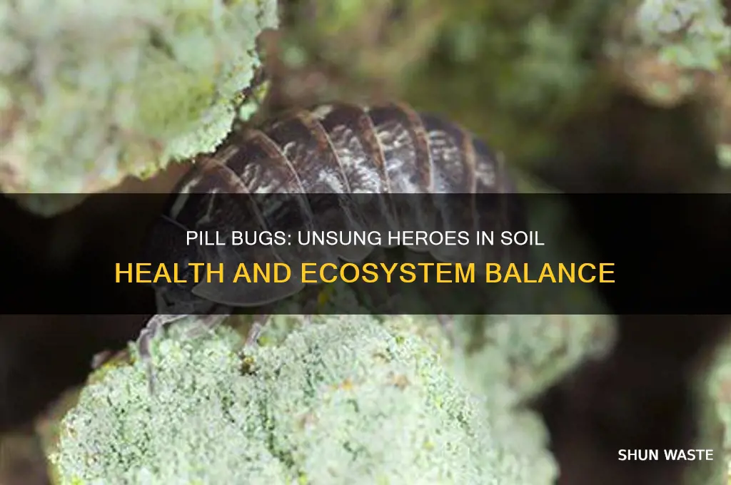 how do pill bugs help the environment