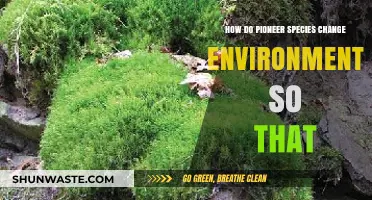 Pioneer Species Transform Ecosystems: Unlocking Environmental Change Secrets