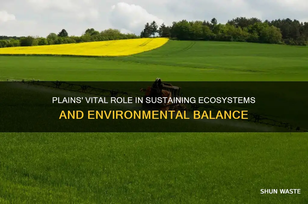 how do plains help the environment