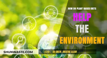 Plant-Based Diets: Sustainable Eating for a Greener, Healthier Planet