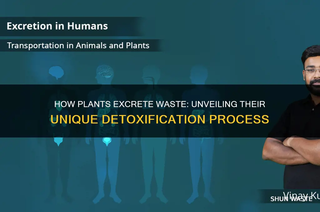 how do plant excrete their waste product