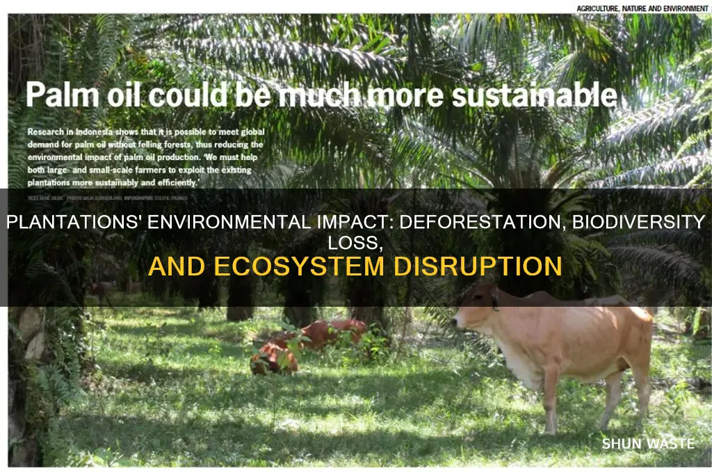 how do plantations affect the environment