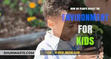 Green Heroes: How Plants Shape Our Environment for Kids