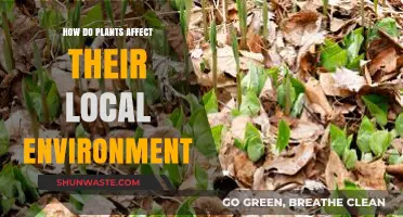 How Plants Shape Local Ecosystems: Impact and Environmental Benefits
