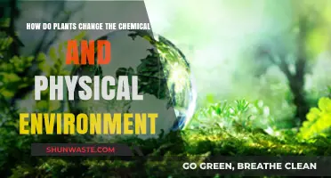 How Plants Transform Chemical and Physical Environments: A Comprehensive Guide