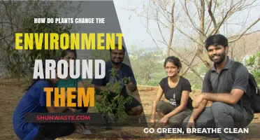 How Plants Transform Their Surroundings: A Look at Environmental Impact