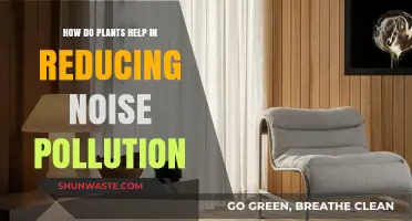 Nature's Quiet: Plants Reduce Noise Pollution