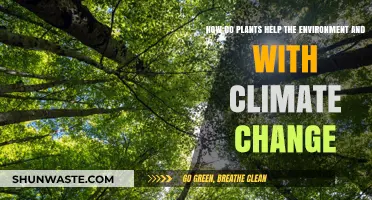 Plants' Power: Fighting Climate Change and Saving Our Environment