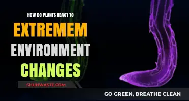 Plant Resilience: Adapting to Extreme Environmental Shifts and Challenges
