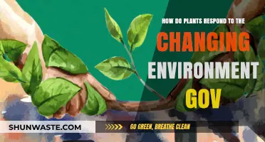 Plant Resilience: Adapting to Environmental Changes and Government Policies