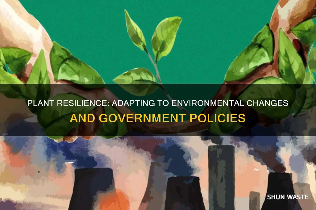 how do plants respond to the changing environment gov