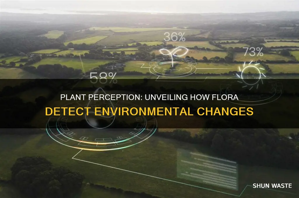 how do plants sense changes in their environment