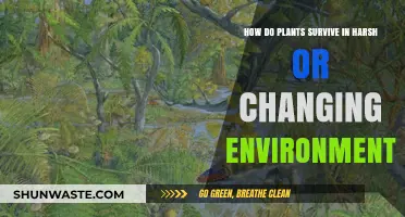 Adapt and Thrive: Plant Survival Strategies in Extreme Conditions