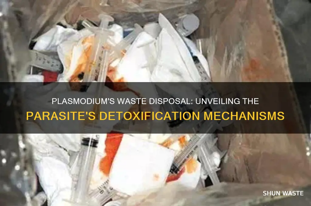 how do plasmodium get rid of waste