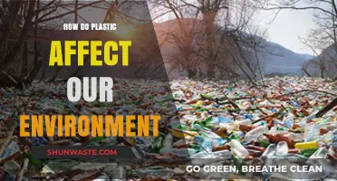 Plastic's Environmental Impact: Pollution, Wildlife, and Ecosystem Destruction Explained