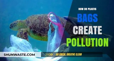Plastic Bags: A Global Pollution Problem