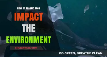 Plastic Bags' Environmental Impact: Pollution, Wildlife Threats, and Sustainability Challenges