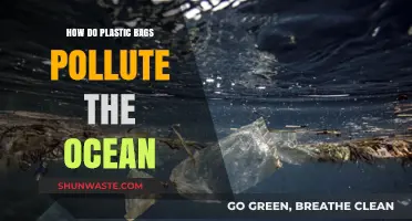 Plastic Bags: Ocean Polluters, Human Error
