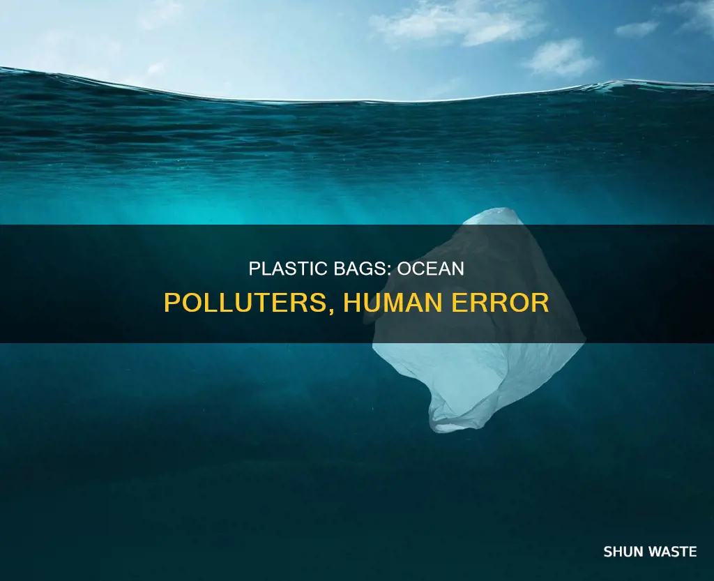 how do plastic bags pollute the ocean