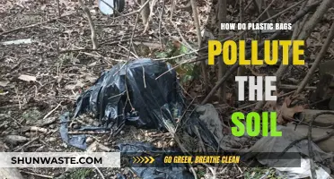 Plastic Bags: Soil Pollution's Hidden Threat