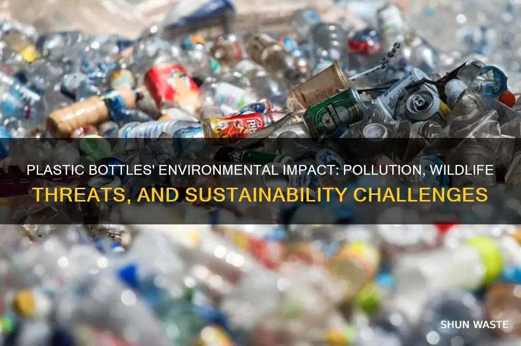 how do plastic bottles impact the environment