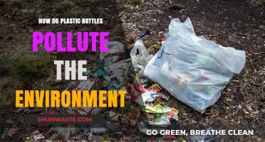 Plastic Bottles: Environmental Impact and Pollution