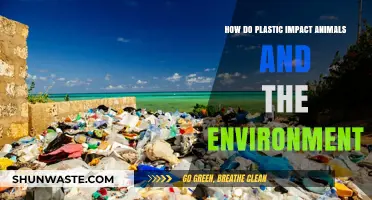 Plastic's Deadly Impact: Harming Wildlife and Destroying Our Fragile Ecosystems