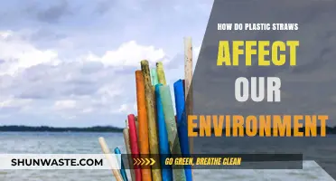 Plastic Straws' Hidden Impact: Uncovering Environmental Consequences and Solutions