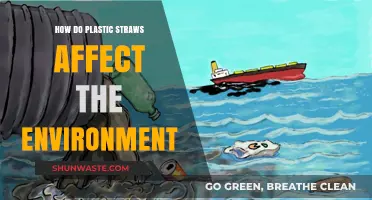 Plastic Straws' Environmental Impact: Harmful Effects and Sustainable Alternatives